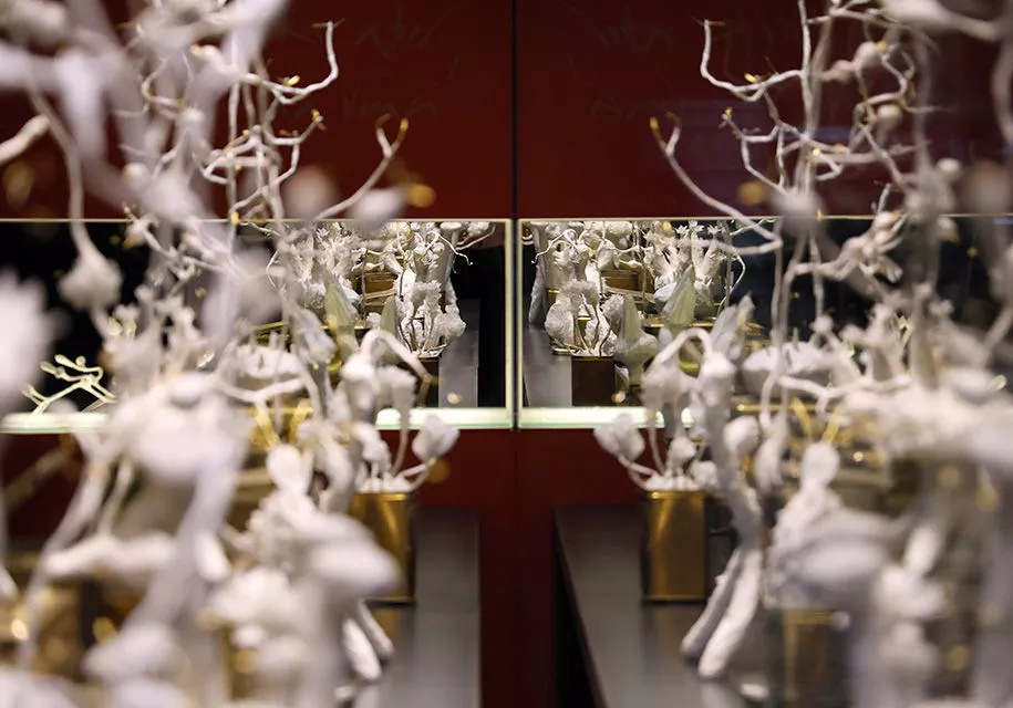 Herbarium Illuminarum